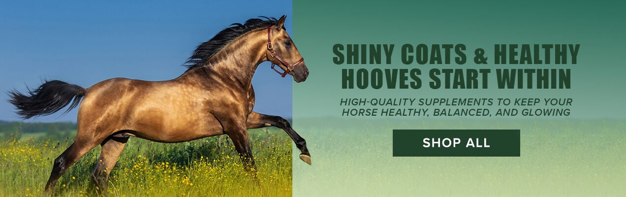 Shiny Coats & Healthy Hooves Start Within: High-Quality Supplements to Keep Your Horse Healthy, Balanced, and Glowing. Shop All.