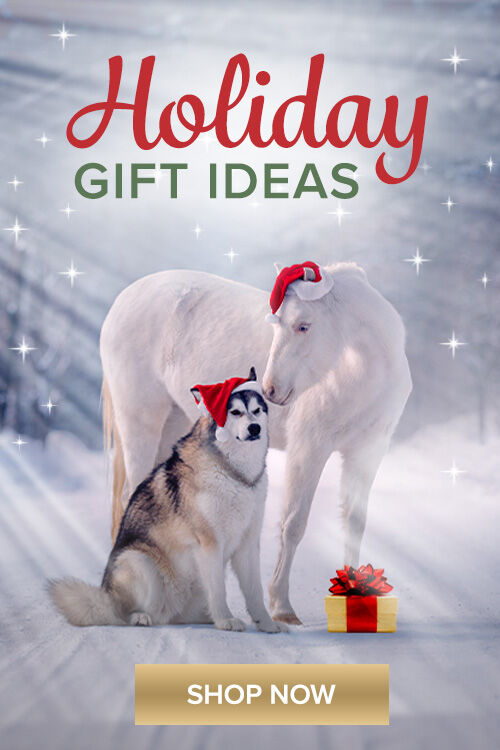 Holiday Gift Ideas