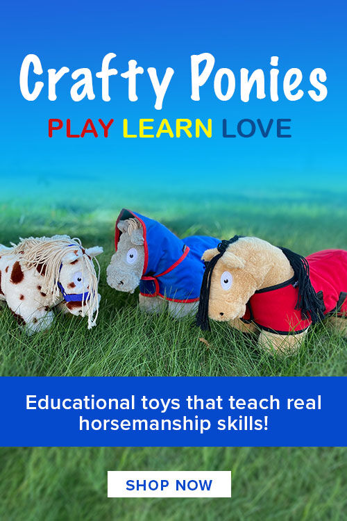 Crafty Ponies