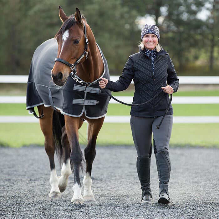 New Horse Owners 2: Bringing Horse Home