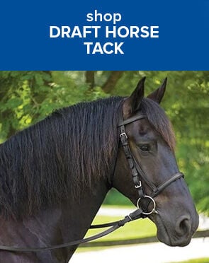 Draft Horse Tack
