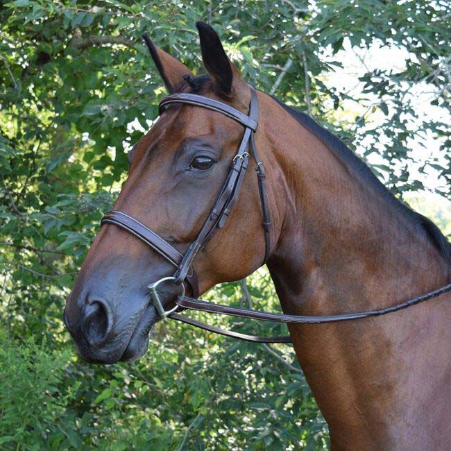 Bridle Fitting Bridle Fitting