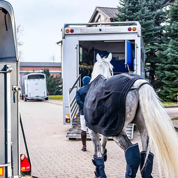 Tips for Safe Horse Trailer Loading