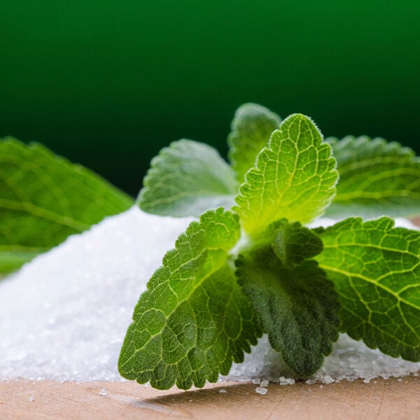 Sweetening the Deal: Using Stevia as a Topping for Horse Feed and Supplements