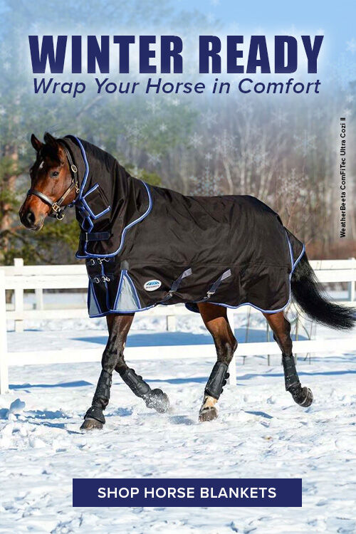 Winter Blankets