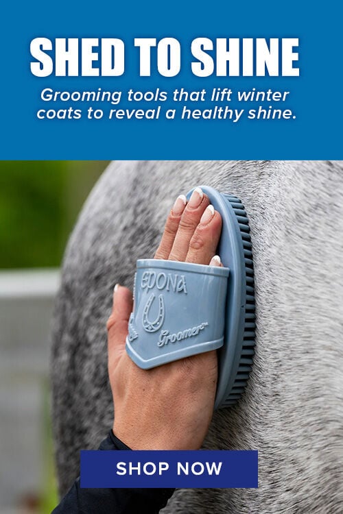 Shed to Shine: Grooming tools that lift winter coats to reveal a healthy shine.