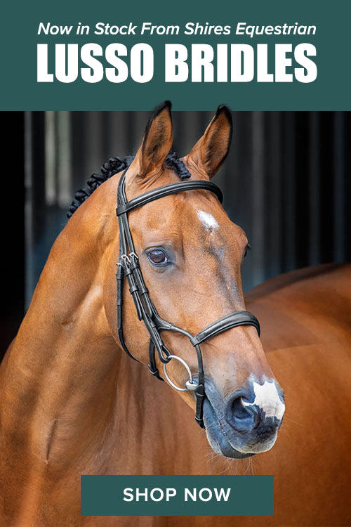 Lusso Bridles
