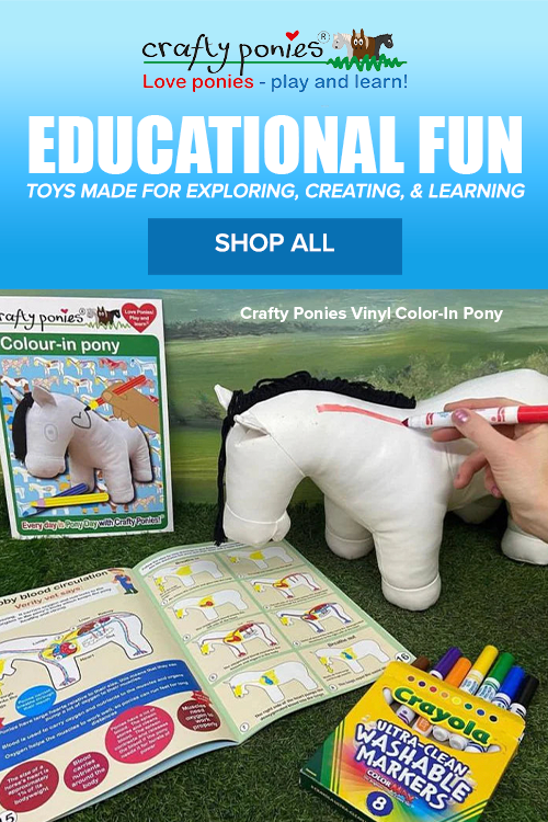 Crafty Ponies: Educational Fun: Toys Made for Exploring, Creating & Learning