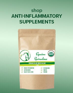 Anti-Inflammatory Supplements