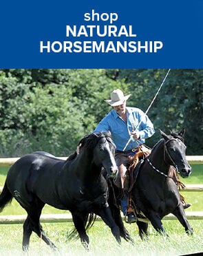 Natural Horsemanship