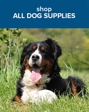 Dog Supplies