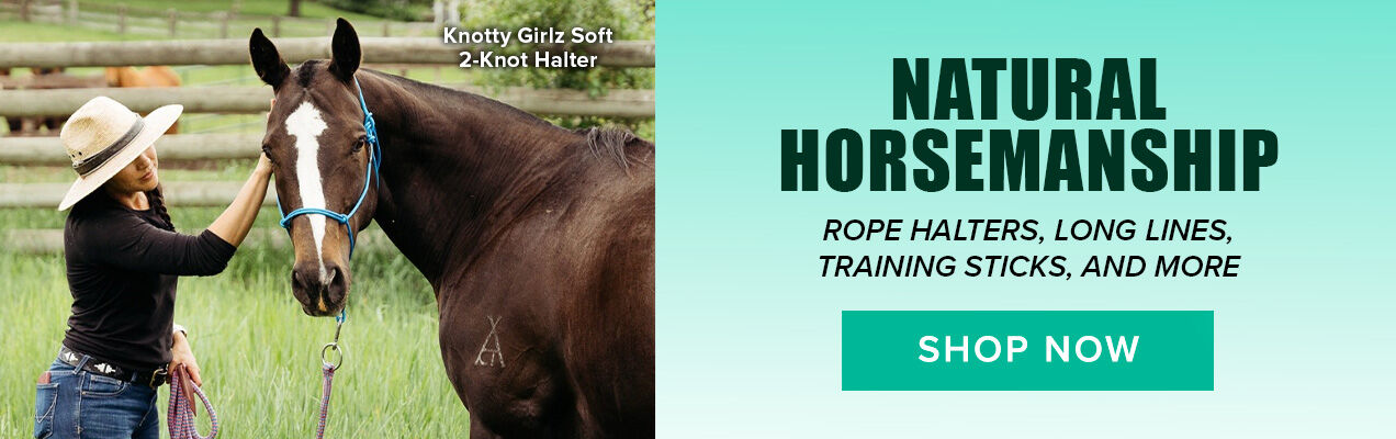 Natural Horsemanship