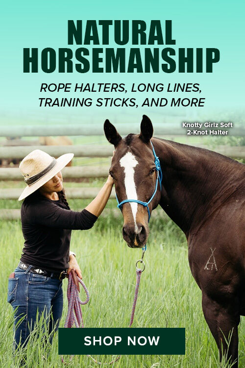 Natural Horsemanship
