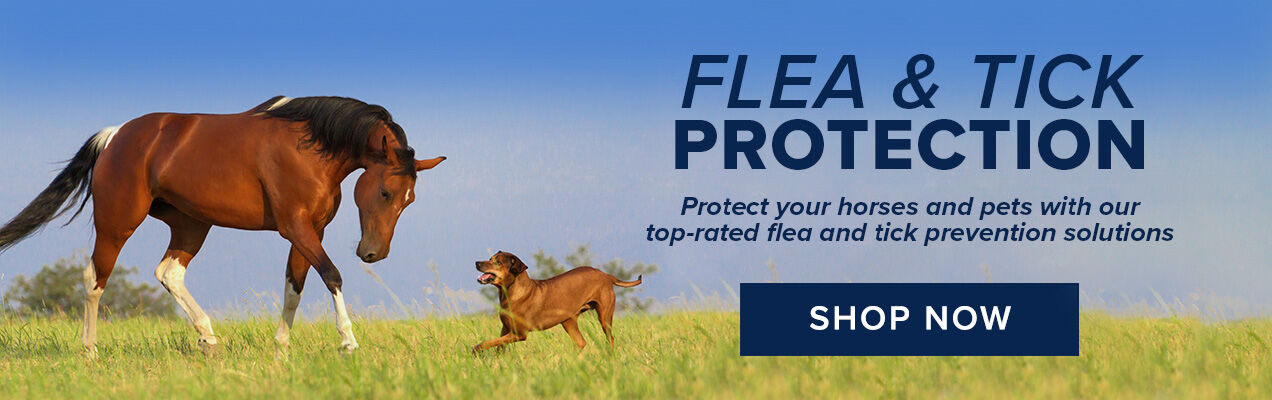 Shop Flea, Tick & Fly Protection for Horses, Dogs & Cats