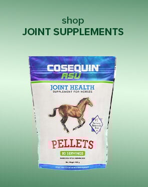 Joint Supplements