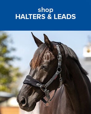 Halters & Leads