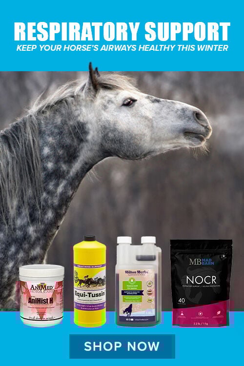 Respiratory Support: Keep Your Horse's Airways Healthy This Winter. Shop Now.