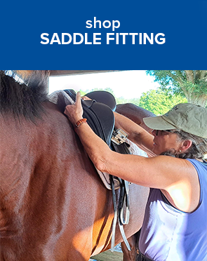 Saddle Fitting
