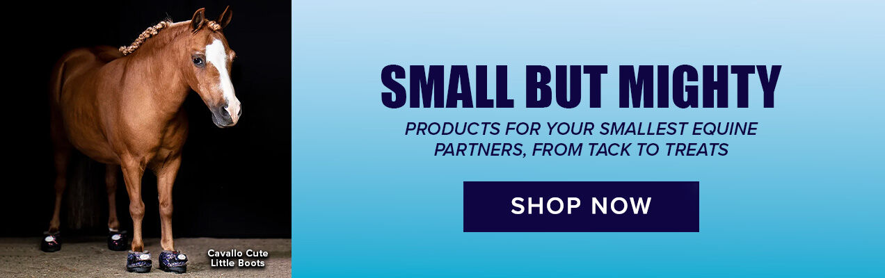 Small but Mighty: Products for Your Smallest Equine Partner, From Tack to Treats
