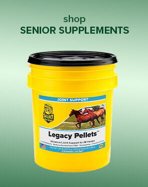 Senior Supplements