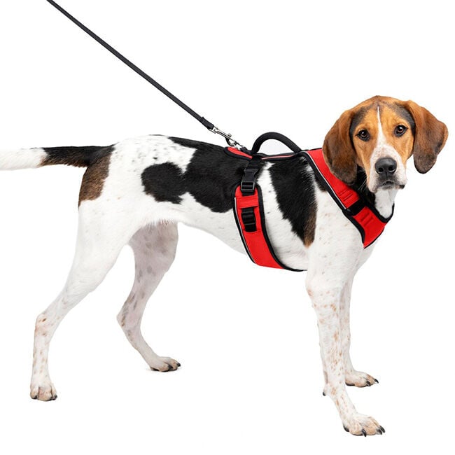 PetSafe EasySport Harness - Red image number null