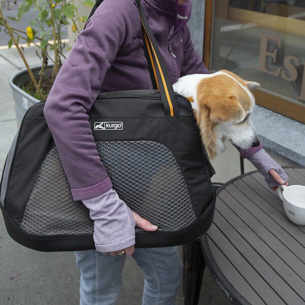 Kurgo explorer dog carrier shop