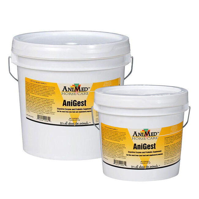 AniMed AniGest image number null