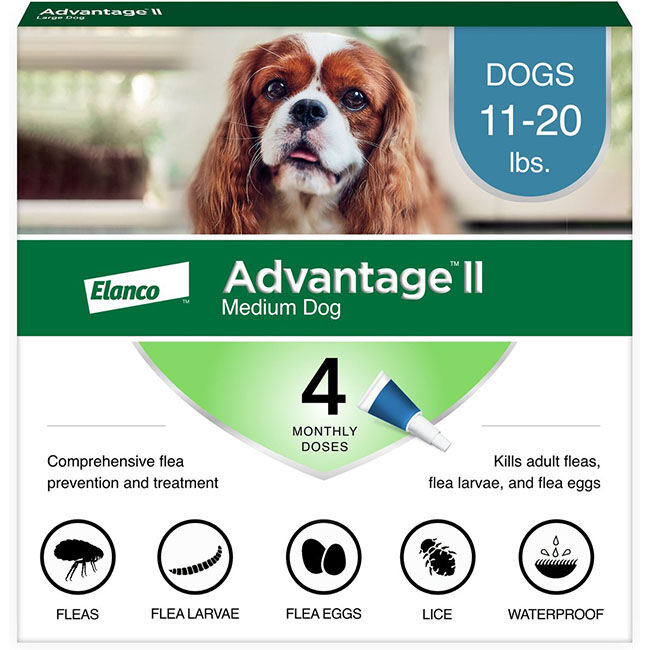Advantage II Flea & Tick Topical for Dogs - 4-Month Supply image number null