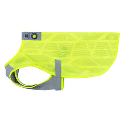 RC Pets Luna High Vis Vest for Dogs