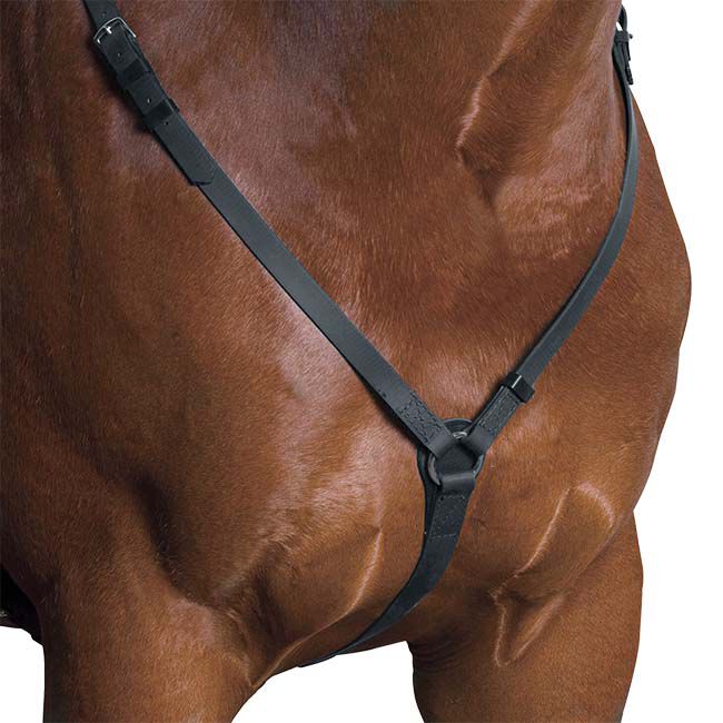 Wintec Breastplate image number null