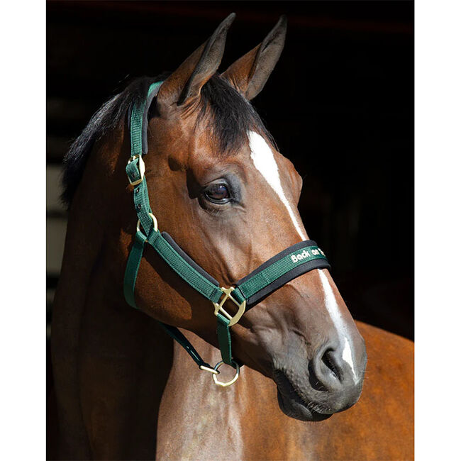 Back on Track Werano Halter image number null