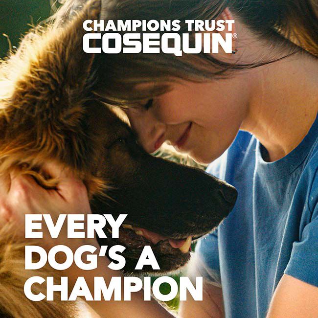 Nutramax Laboratories Cosequin Minis Plus MSM & Boswellia for Small Dogs - 45 Chews image number null