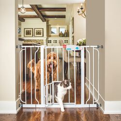Carlson Extra Wide Walk-Thru Pet Gate