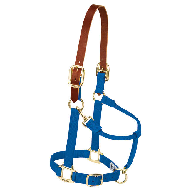 Weaver Breakaway Nylon Halter - Blue image number null