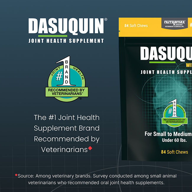 Nutramax Dasuquin for Small to Medium Dogs, Joint Health Supplement, Contains Glucosamine for Dogs, Plus Chondroitin, ASU, MSM and More, Supports Healthy Joints, Soft Chews image number null