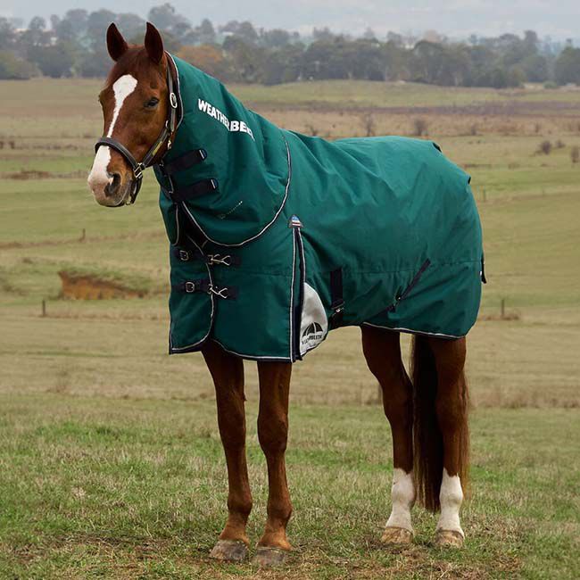 WeatherBeeta ComFiTec Plus Dynamic Turnout Detach-A-Neck (360 g) - Forest Green/Navy image number null