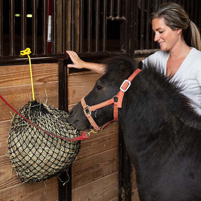 Texas Haynet Xtra Small Hay Net image number null