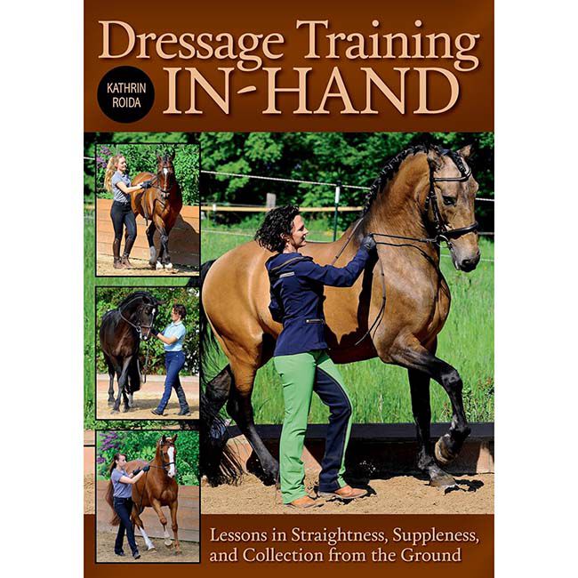 101 Dressage Exercises for Horse and Rider image number null