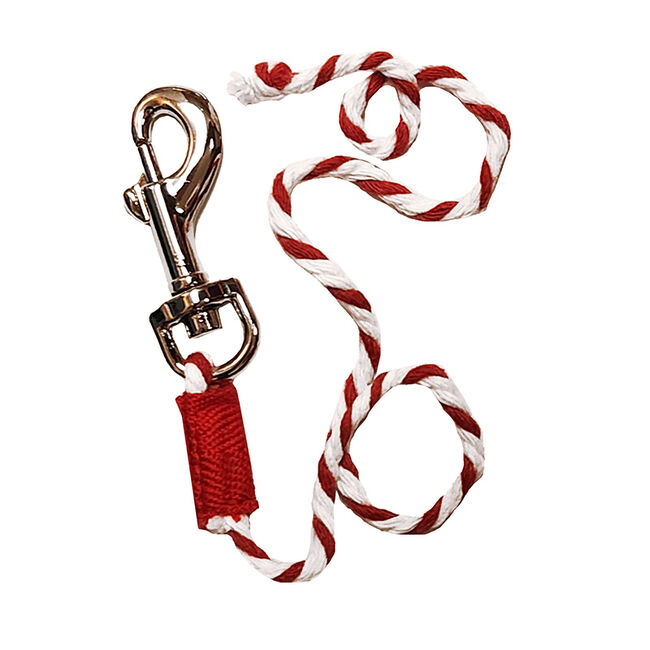 Crafty Ponies Toy Lead Rope - Red  image number null