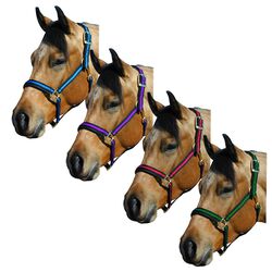 Intrepid International No-Rub Padded Striped Halter - Yearling/Pony