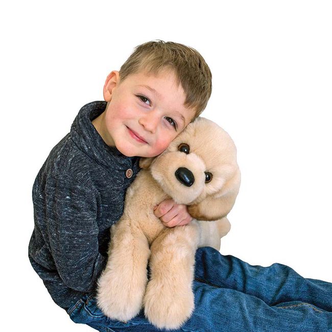 Douglas Lettie the DLux Yellow Lab image number null