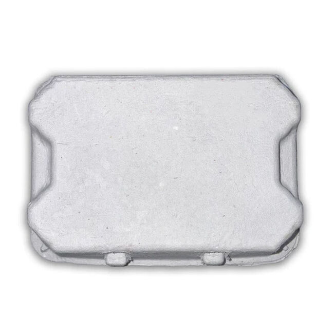 EggCartons.com Duck/Turkey 6-Egg Paper Carton image number null