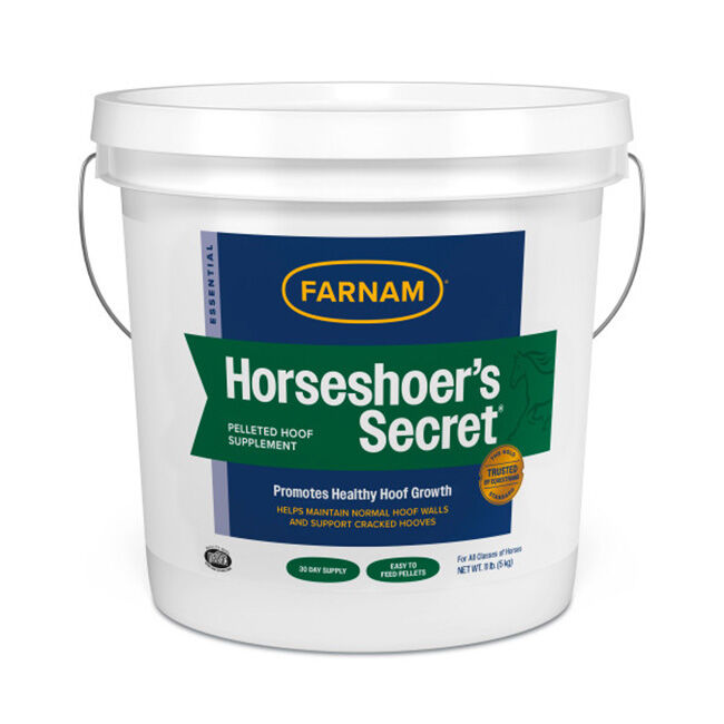 Farnam Horseshoer's Secret image number null