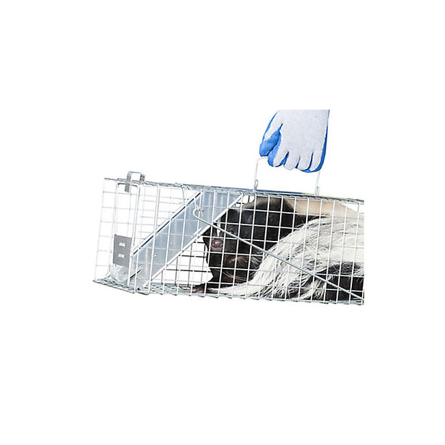 Havahart Medium 1-Door Animal Trap image number null