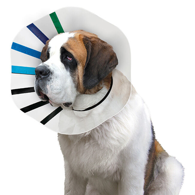 KONG EZ Clear E-Collar Cone image number null