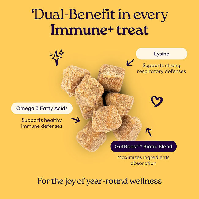 WellJoy Dual-Benefit Immune+ Gutboost Cat Treats - 3.2 oz image number null
