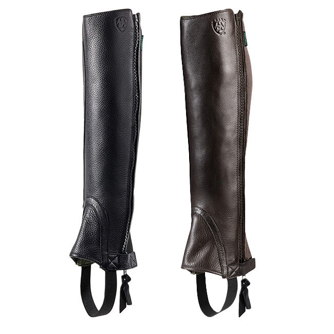 Ariat all around half chaps sale