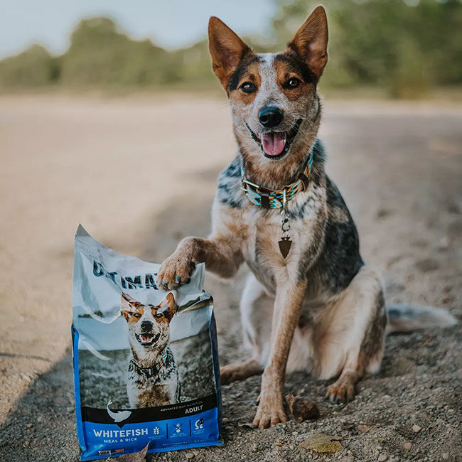 Ultimates Dog Food - Whitefish Meal & Rice Recipe image number null