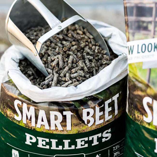 Standlee Smart Beet Pellets - 40 lb image number null