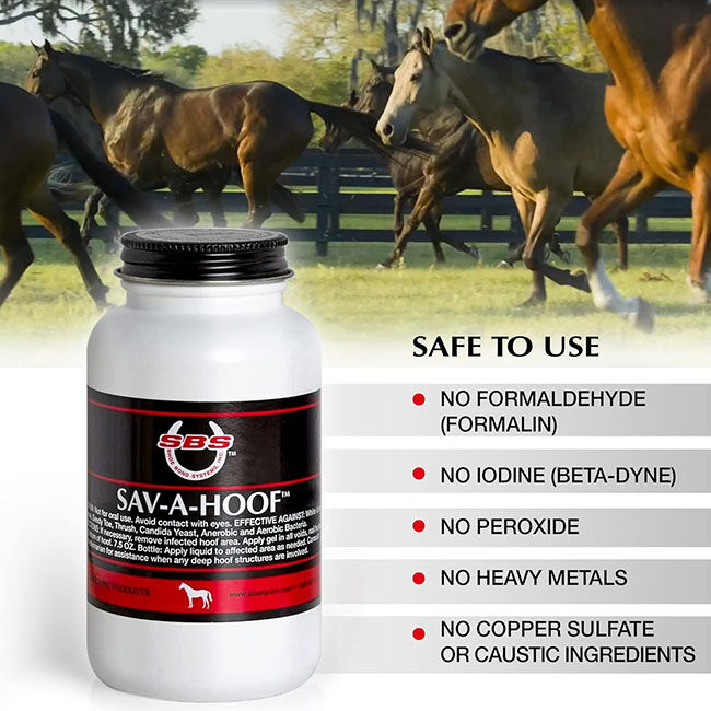 SBS Equine Sav-A-Hoof Liquid - 7.5 oz image number null